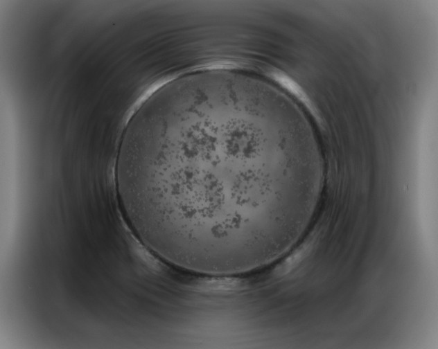 X0000087381417200704201237