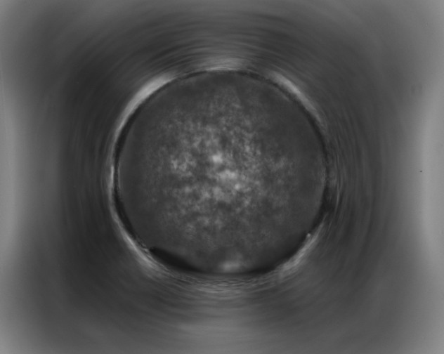 X0000087381418200704201237