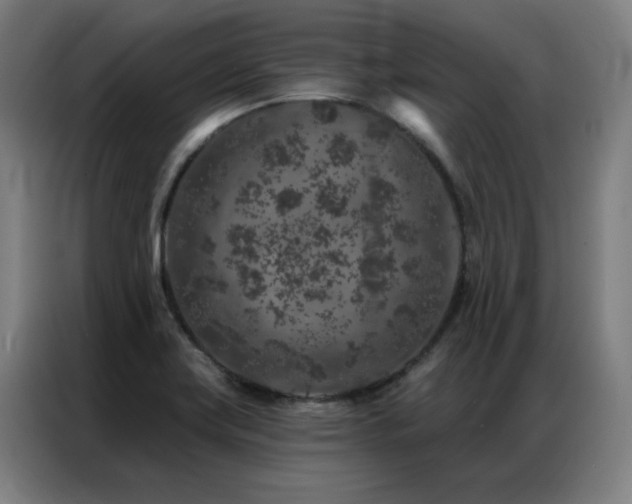 X0000087381419200704201237