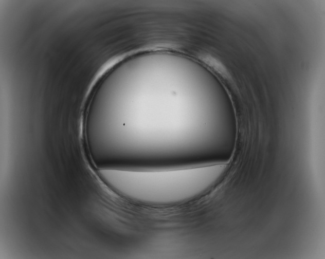 X0000087381420200704201237