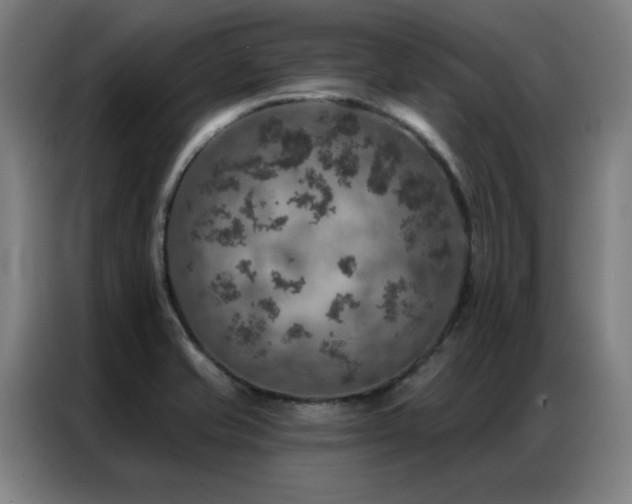 X0000087381421200704201237