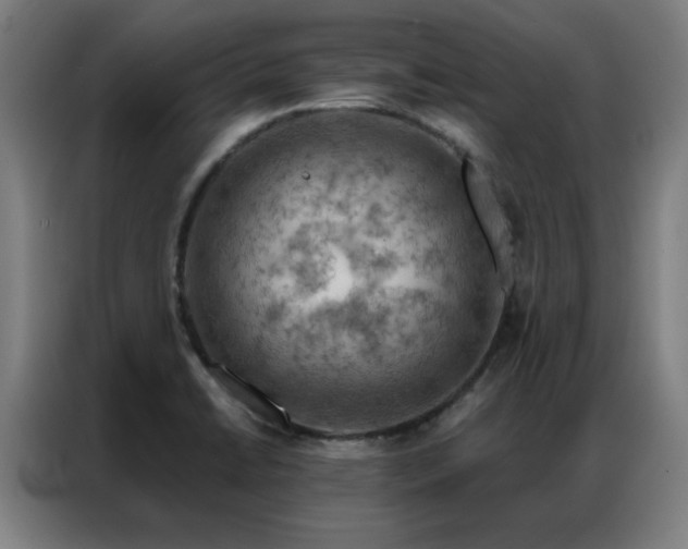 X0000087381422200704201237