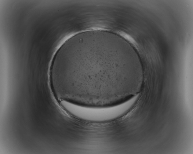 X0000087381423200704201237