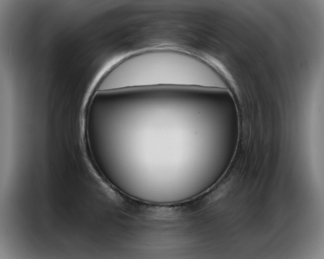 X0000087381424200704201237