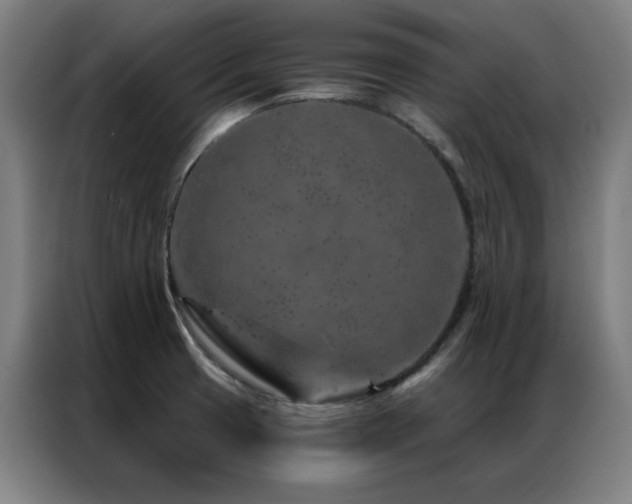 X0000087381425200704201237