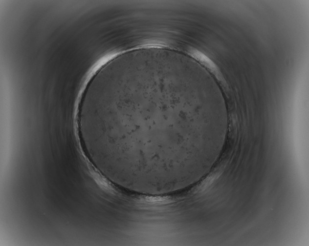 X0000087381427200704201237