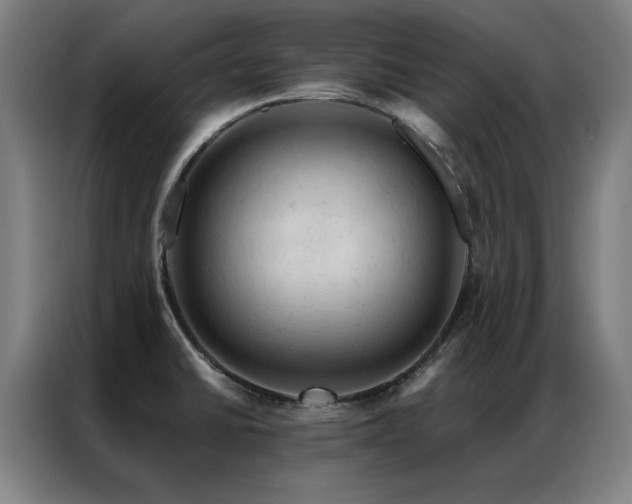 X0000087381430200704201237