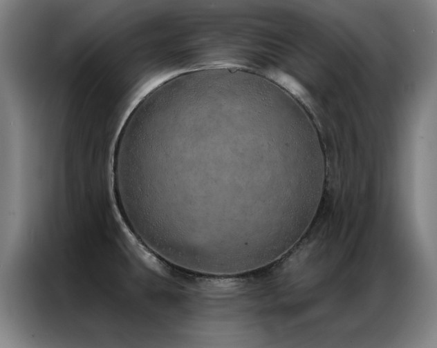 X0000087381431200704201237