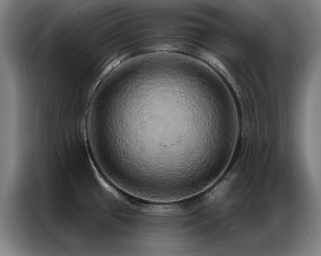 X0000087381433200704201237