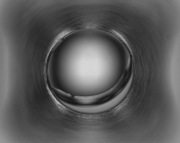 X0000087381434200704201237