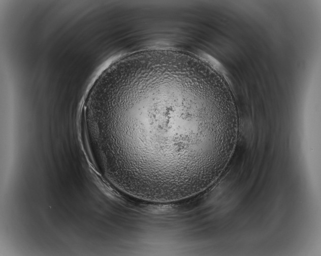 X0000087381435200704201237