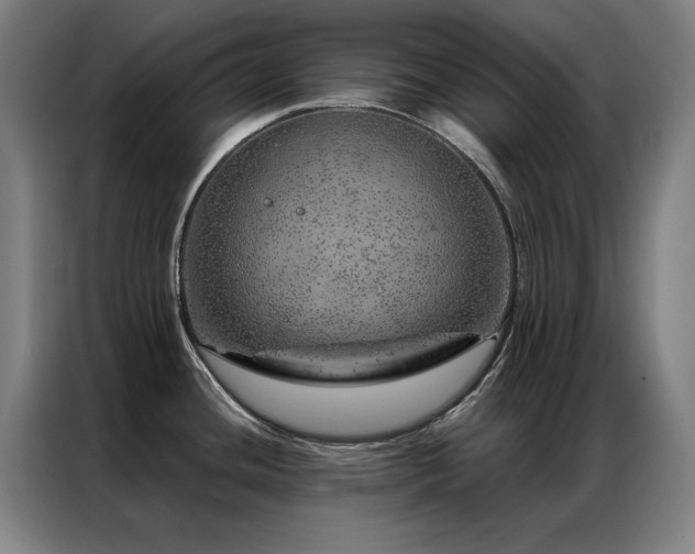 X0000087381436200704201238