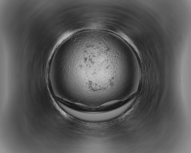 X0000087381437200704201238