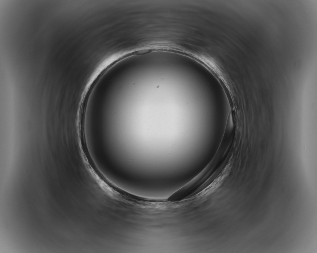 X0000087381438200704201238