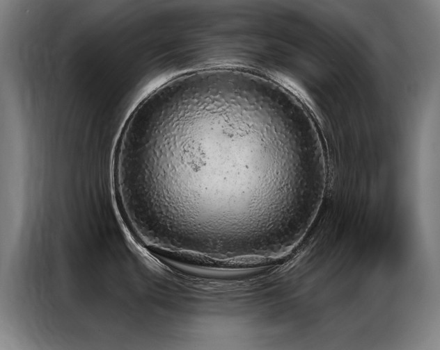 X0000087381439200704201238
