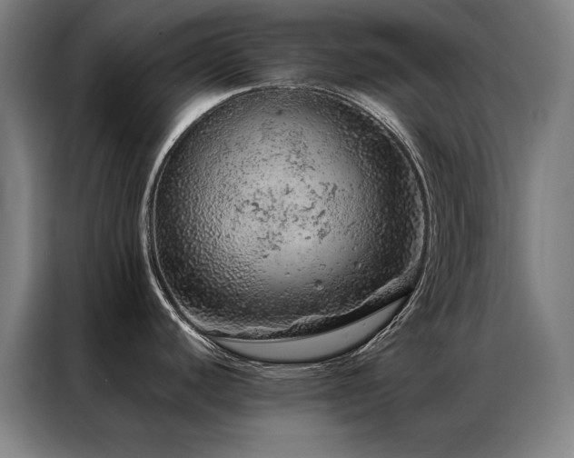 X0000087381440200704201238