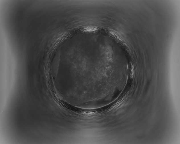 X0000087381441200704201237