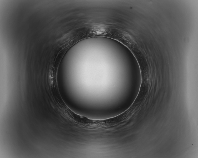 X0000087381442200704201237