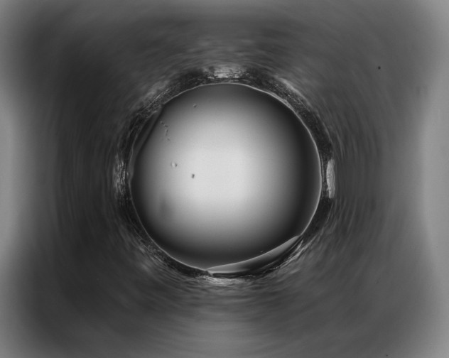 X0000087381443200704201237