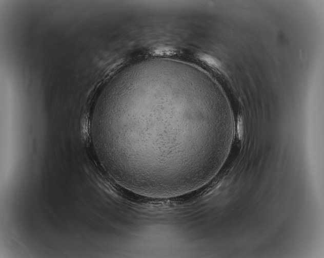 X0000087381444200704201237