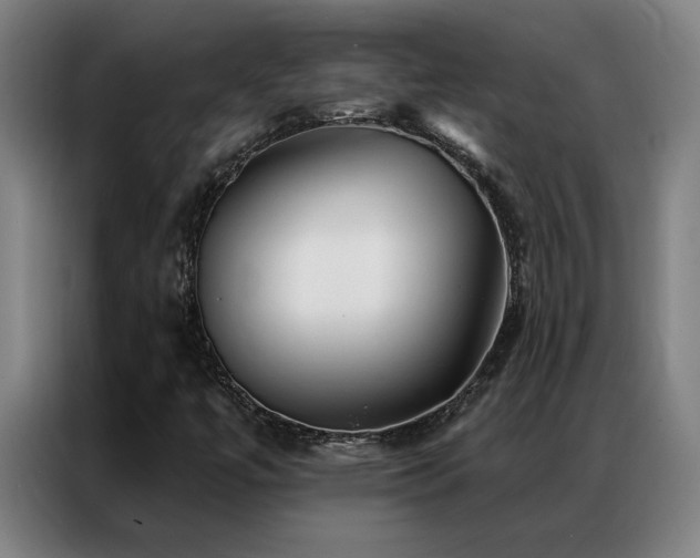 X0000087381447200704201237