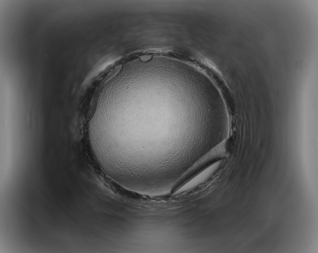 X0000087381448200704201237