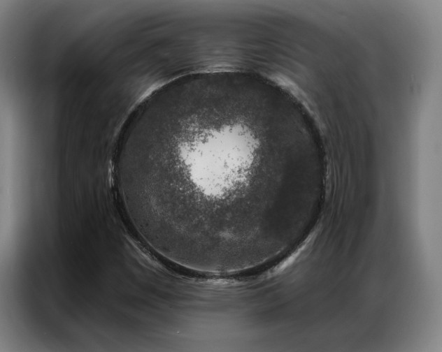 X0000087381449200704201237