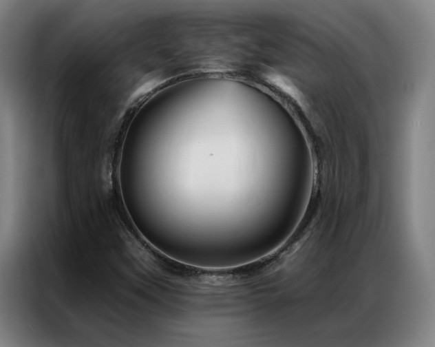 X0000087381451200704201237