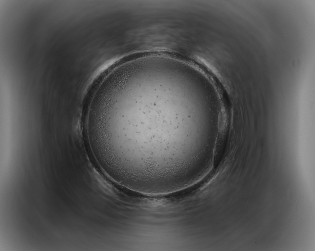 X0000087381452200704201237