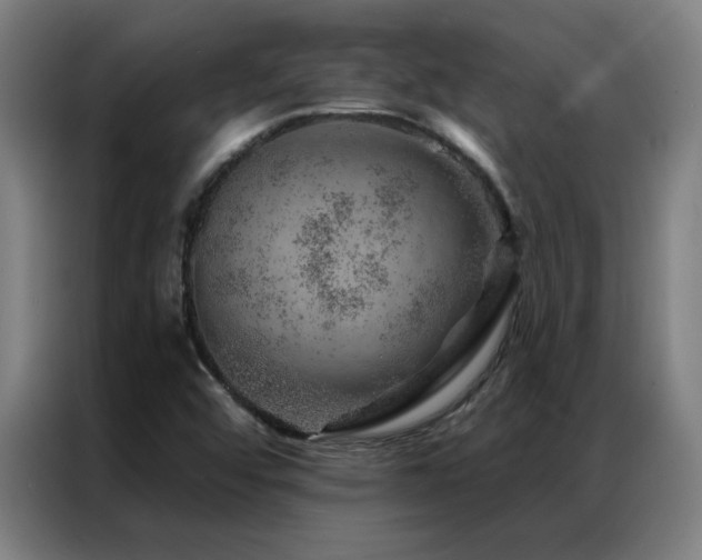 X0000087381456200704201237
