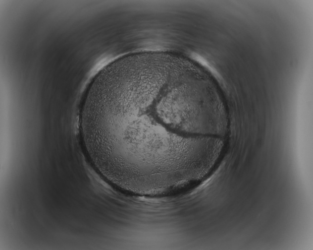 X0000087381459200704201237