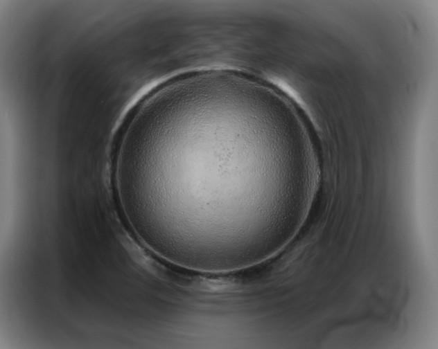 X0000087381460200704201237
