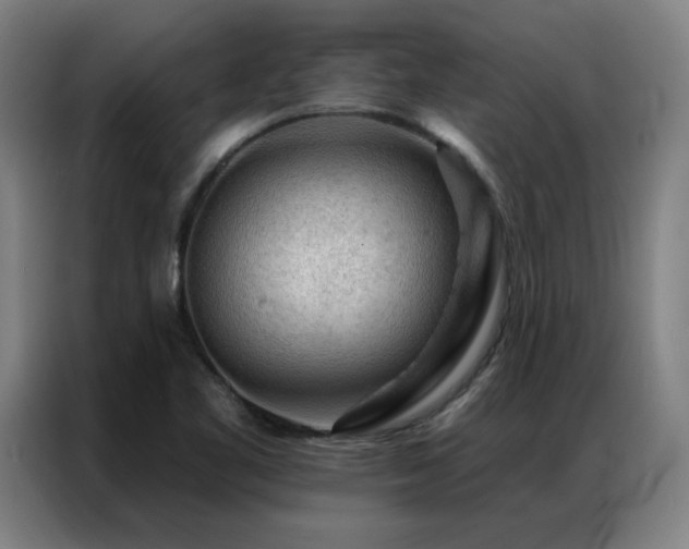 X0000087381461200704201237