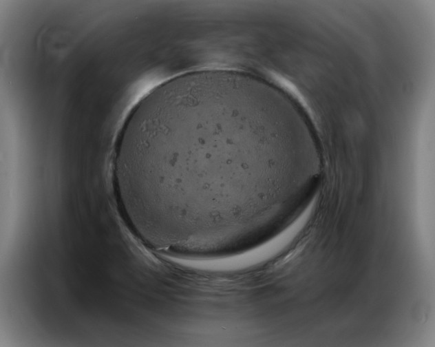 X0000087381463200704201237