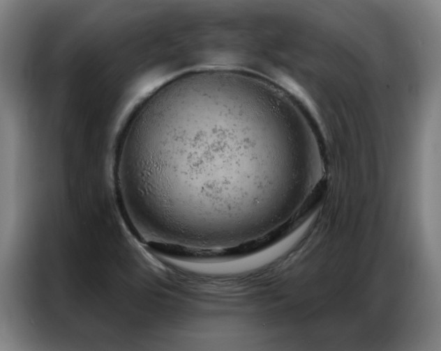 X0000087381464200704201237