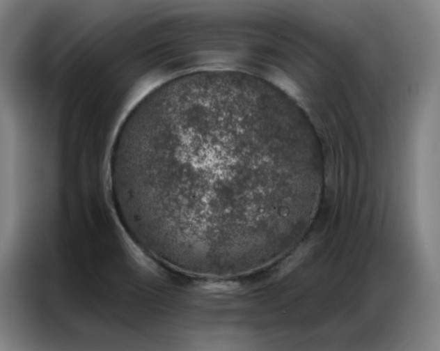 X0000087381466200704201237