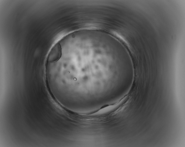 X0000087381467200704201237
