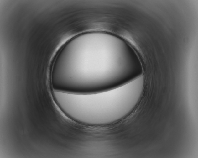 X0000087381468200704201237