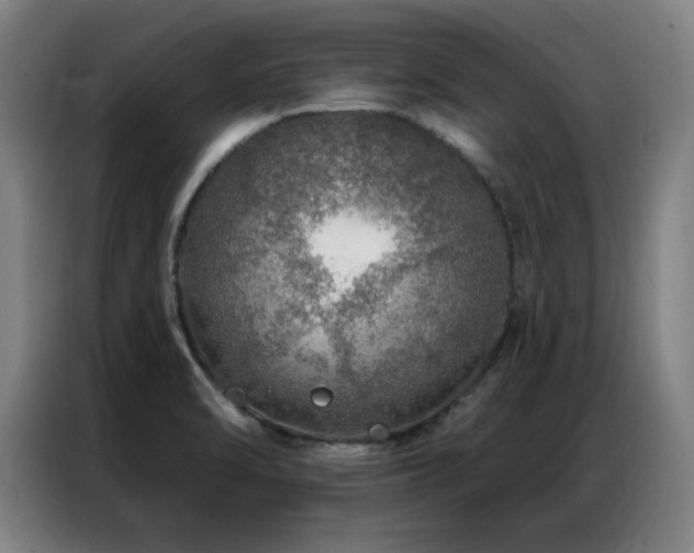 X0000087381470200704201237