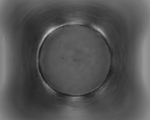 X0000087381471200704201237