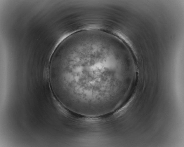 X0000087381473200704201237