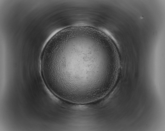 X0000087381476200704201237
