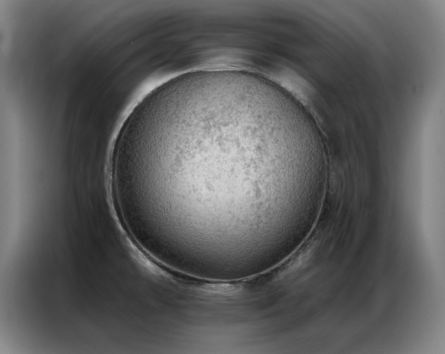 X0000087381478200704201237