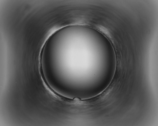 X0000087381479200704201237