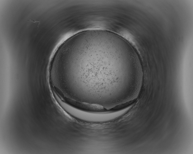 X0000087381480200704201237