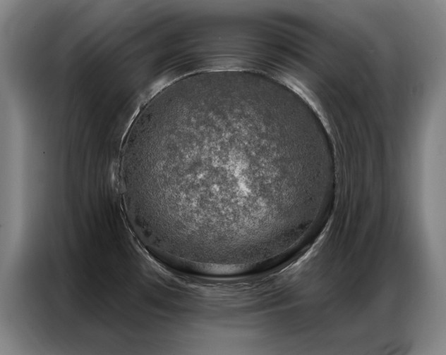X0000087381481200704201237