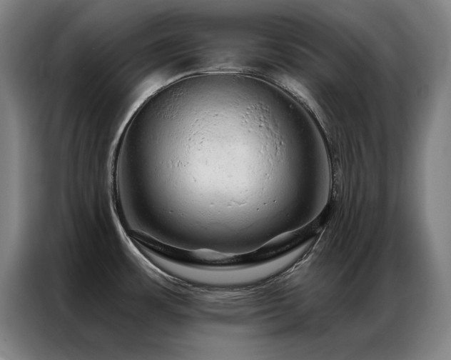 X0000087381483200704201237