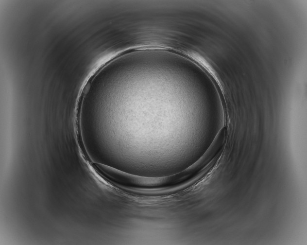 X0000087381485200704201237