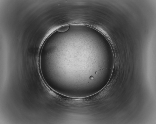X0000087381486200704201236