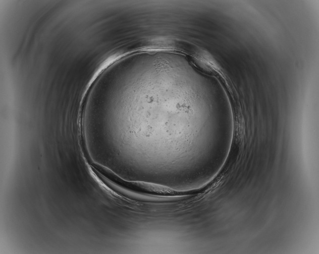 X0000087381487200704201236